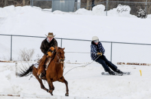 A skier being towed by a brown horse through snow, with a rider guiding it in winter.