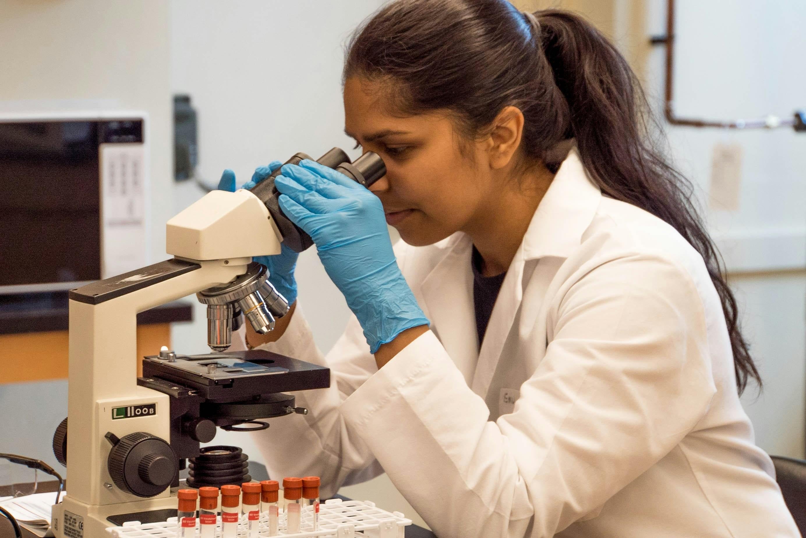 A researcher looks through a microscope.