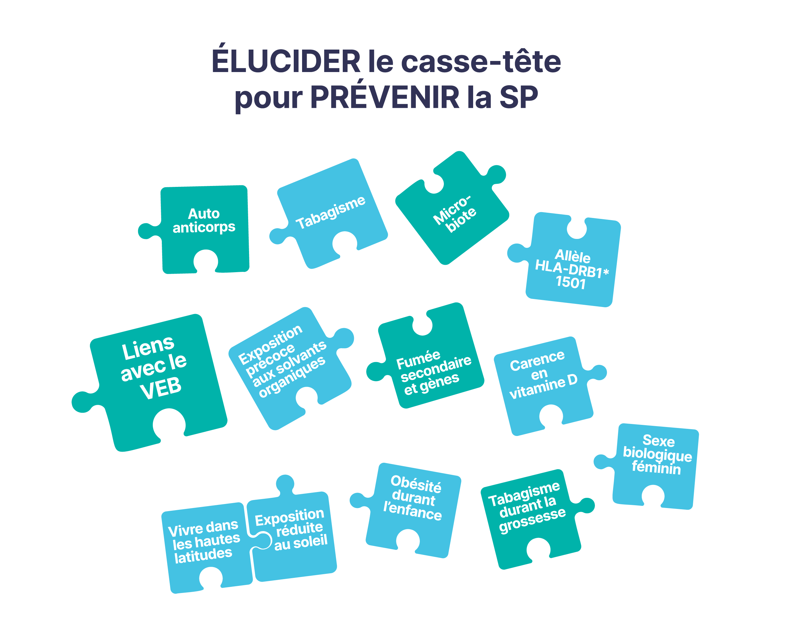 Risk Factors info graphic, description to follow.