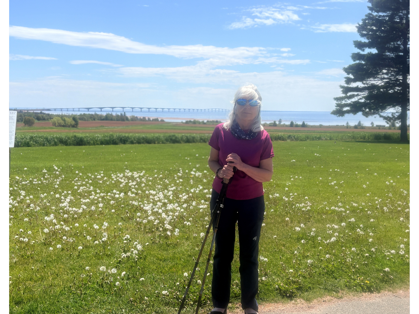 Lynn standing in a field of white wildflowers near a calm blue waterfront on a sunny day.