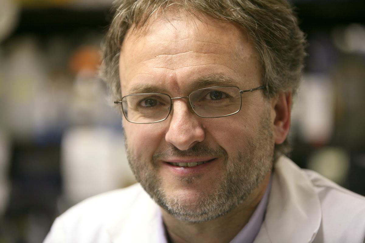 large photo of Dr. Pere Santamaria